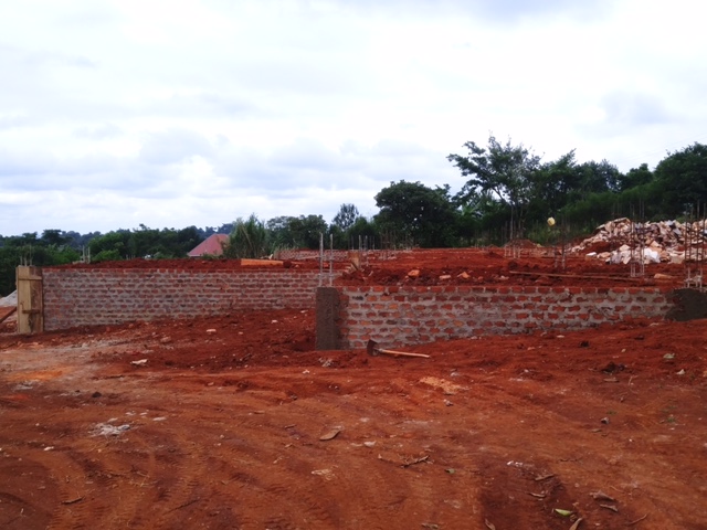 baby house BHTF 3